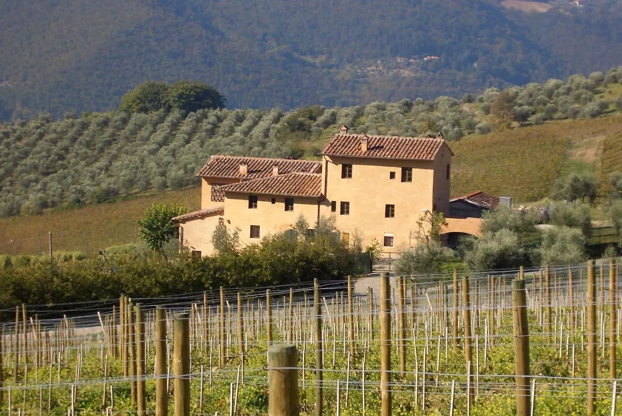 I Veroni - Agriturismo And Wine Cellar Pontassieve Farma