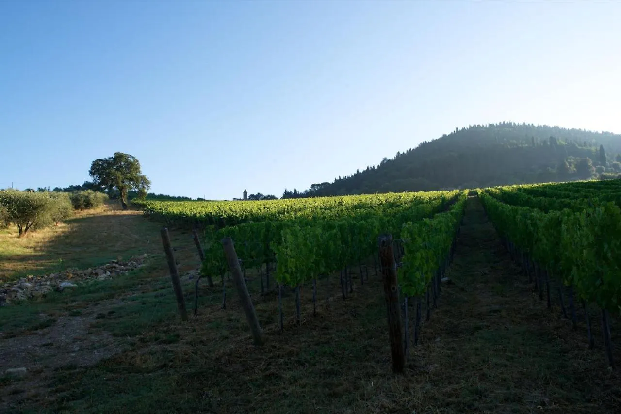 I Veroni - Agriturismo And Wine Cellar Понтассьеве Италия
