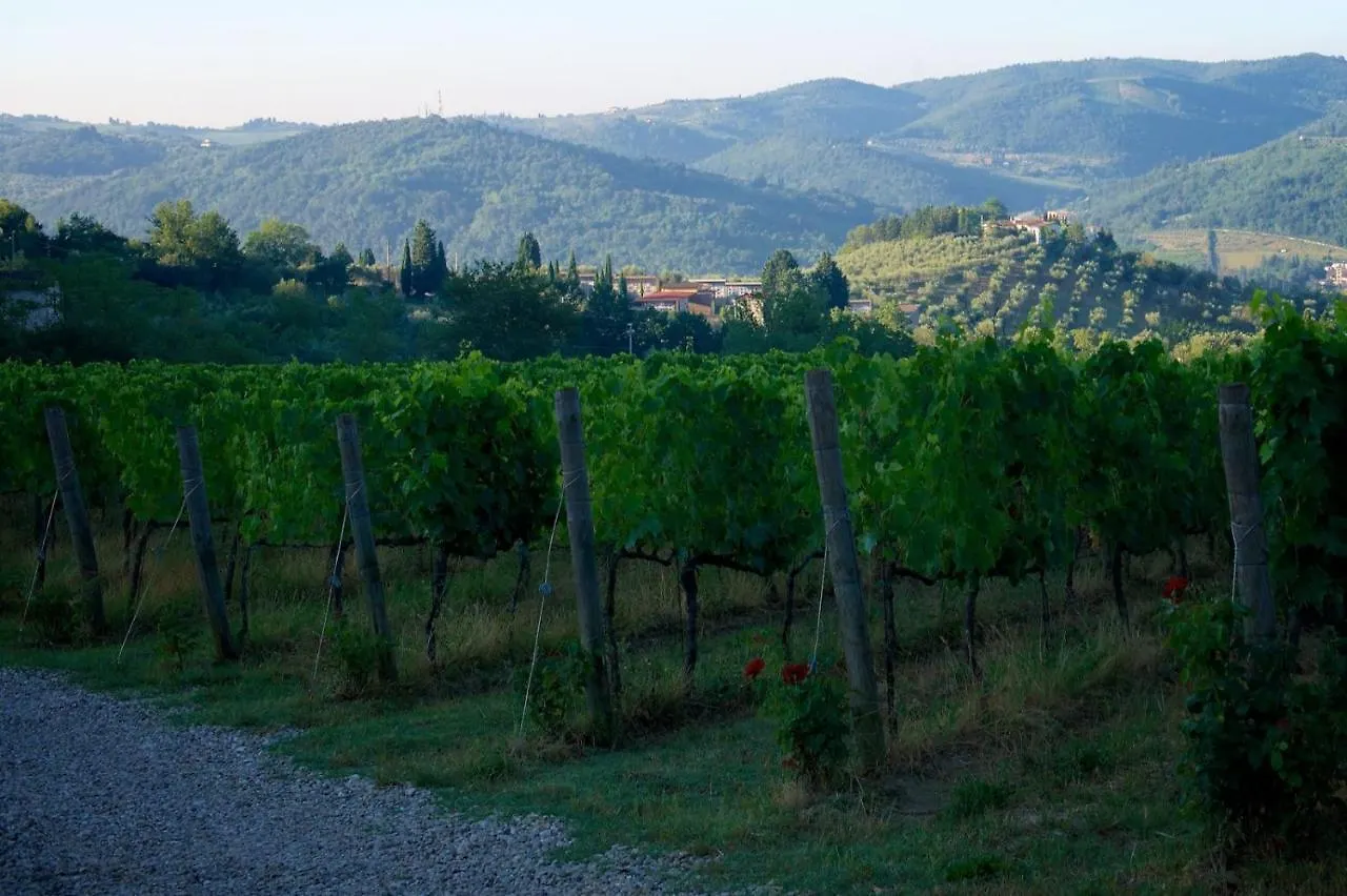 I Veroni - Agriturismo And Wine Cellar Понтассьеве Италия