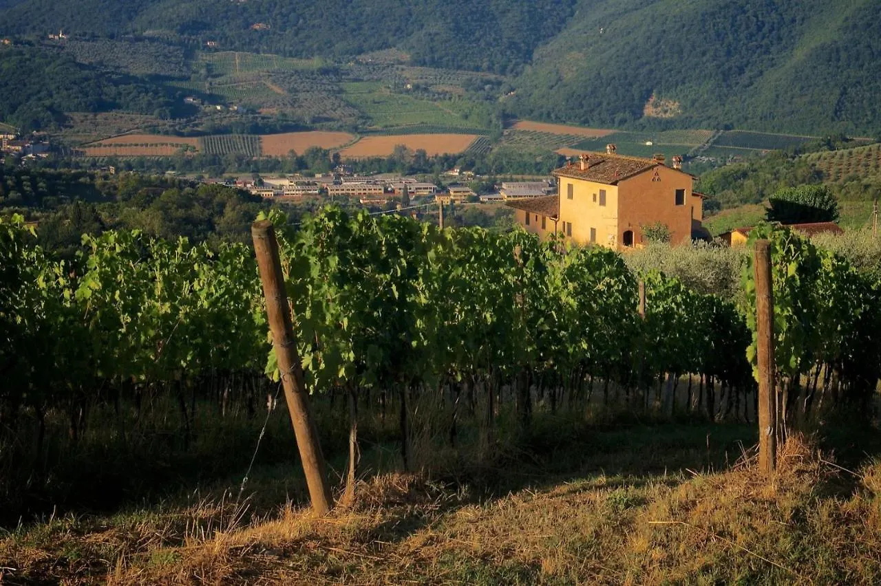 I Veroni - Agriturismo And Wine Cellar Pontassieve Farma