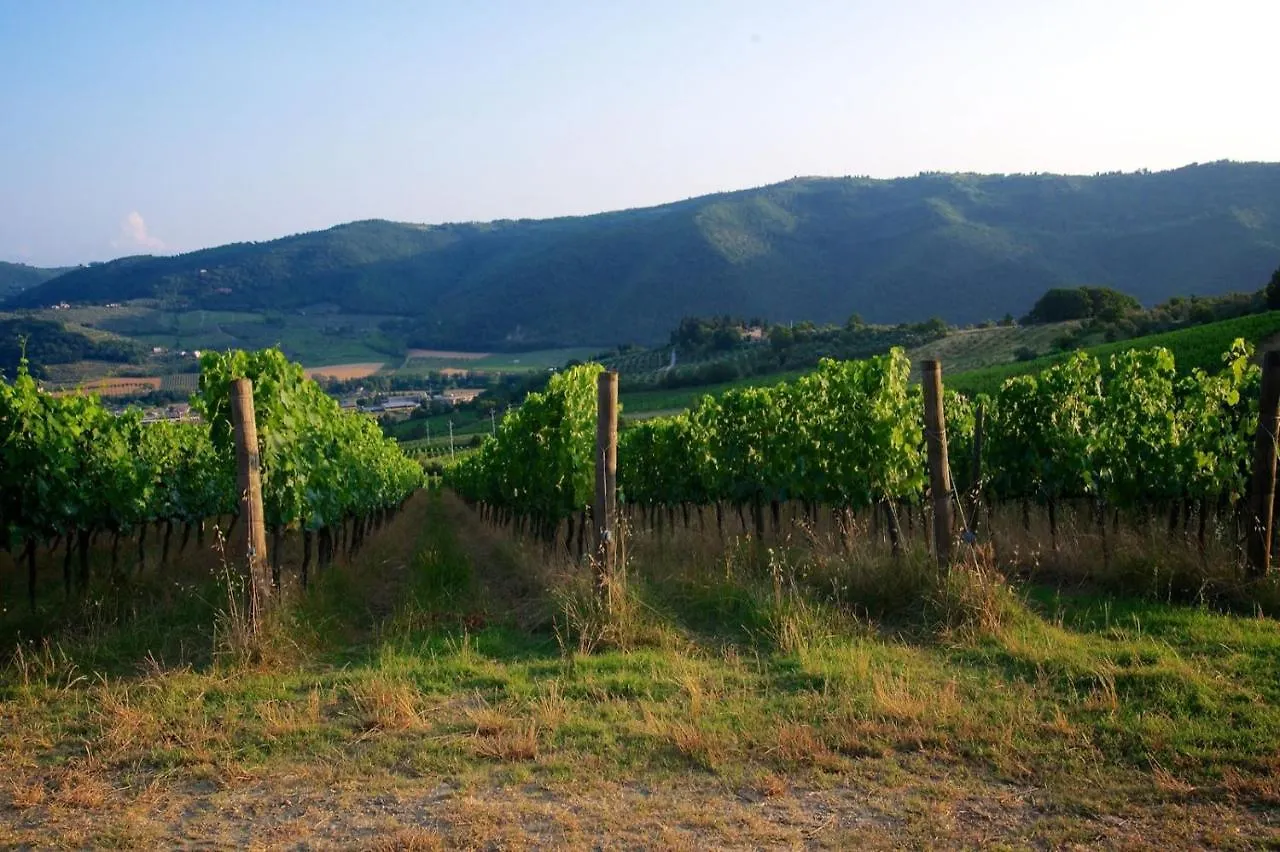 Фермерский дом I Veroni - Agriturismo And Wine Cellar Понтассьеве Италия